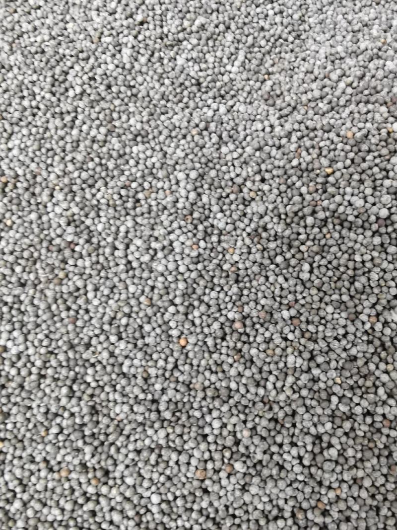 黑酥麻籽，苏麻仁，酥麻，苏子