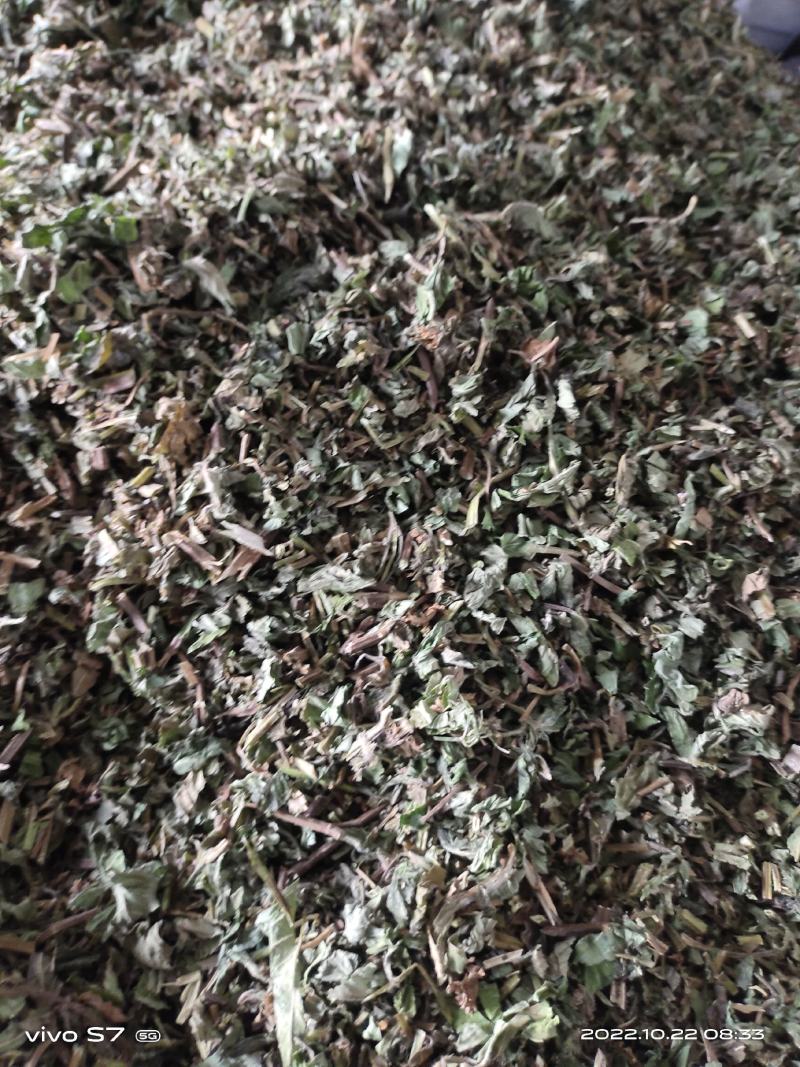 【薄荷】高含量薄荷，薄荷叶质量保证价格实惠量大从优
