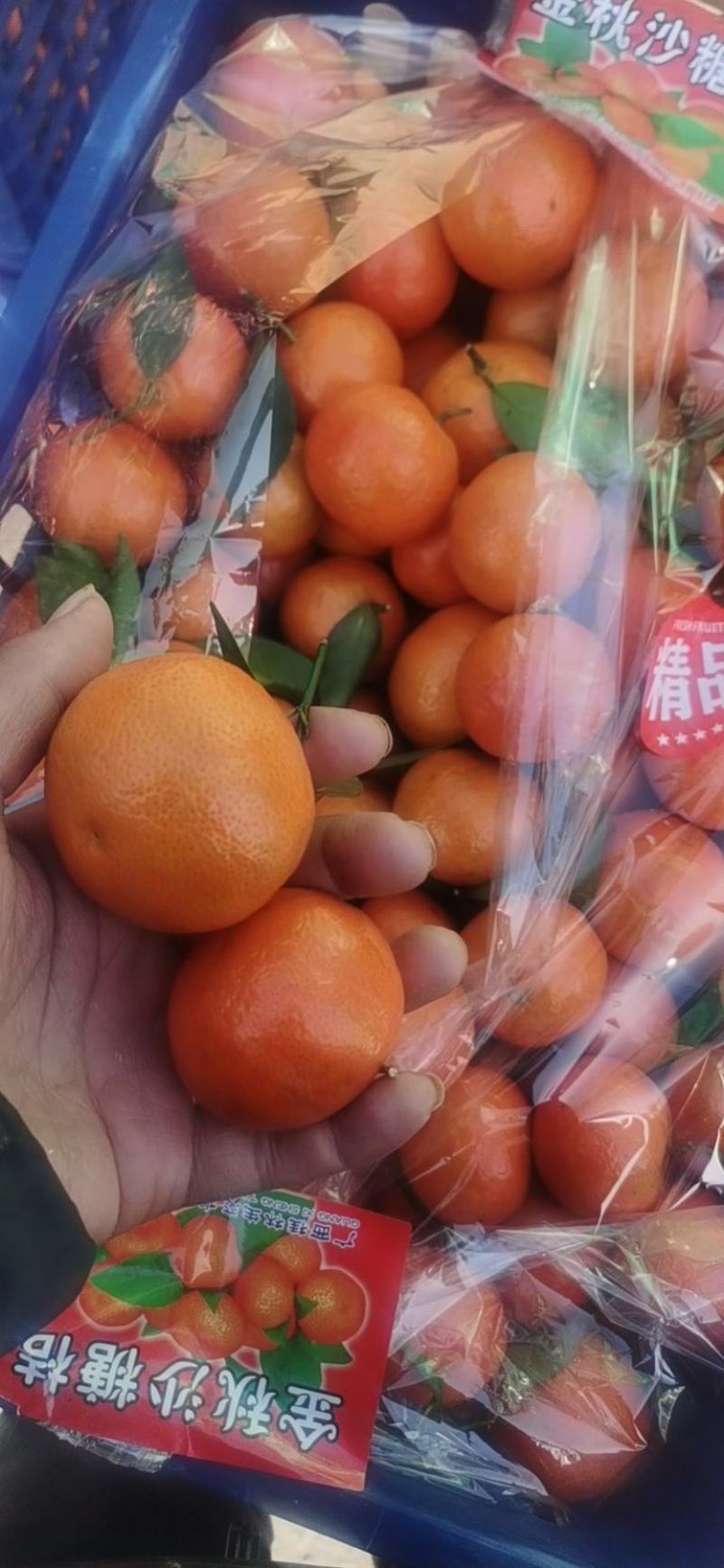 广西沙糖桔大量供应，4号果5号果，小豆大量有货，需要的联系
