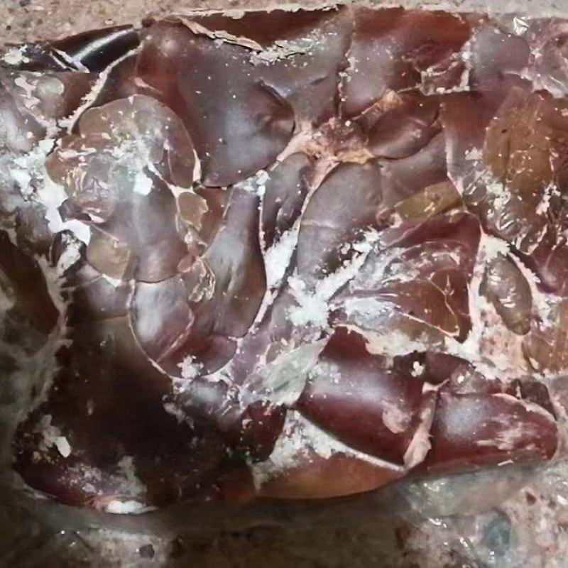 食品级饲料猪肝12吨手续齐全低价出售