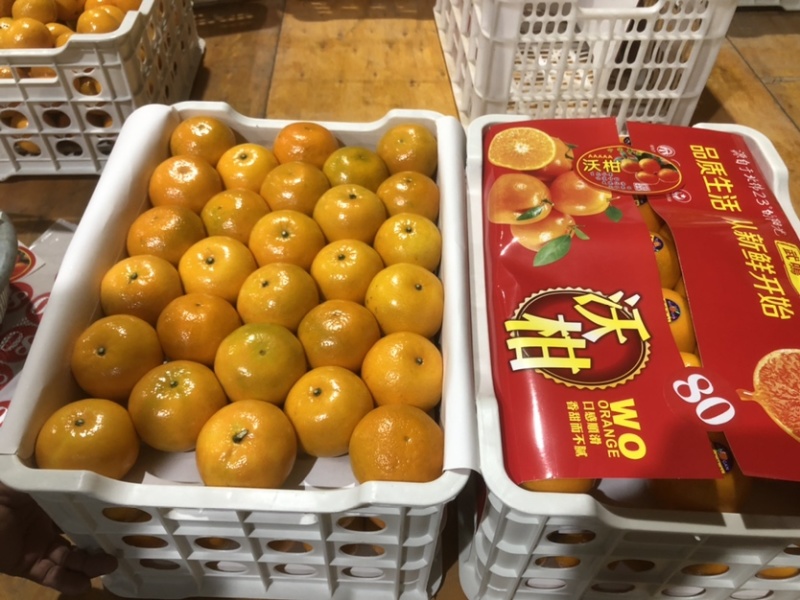 广西沃柑大量上市，货源充足，批发商，电商渠道供应欢迎合作