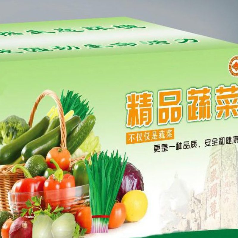 蔬菜礼包组合套装寿光套菜多种蔬菜任选蔬菜大礼包