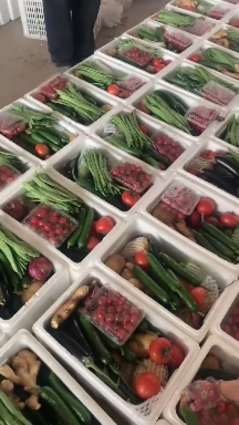 蔬菜礼包组合套装寿光套菜多种蔬菜任选蔬菜大礼包