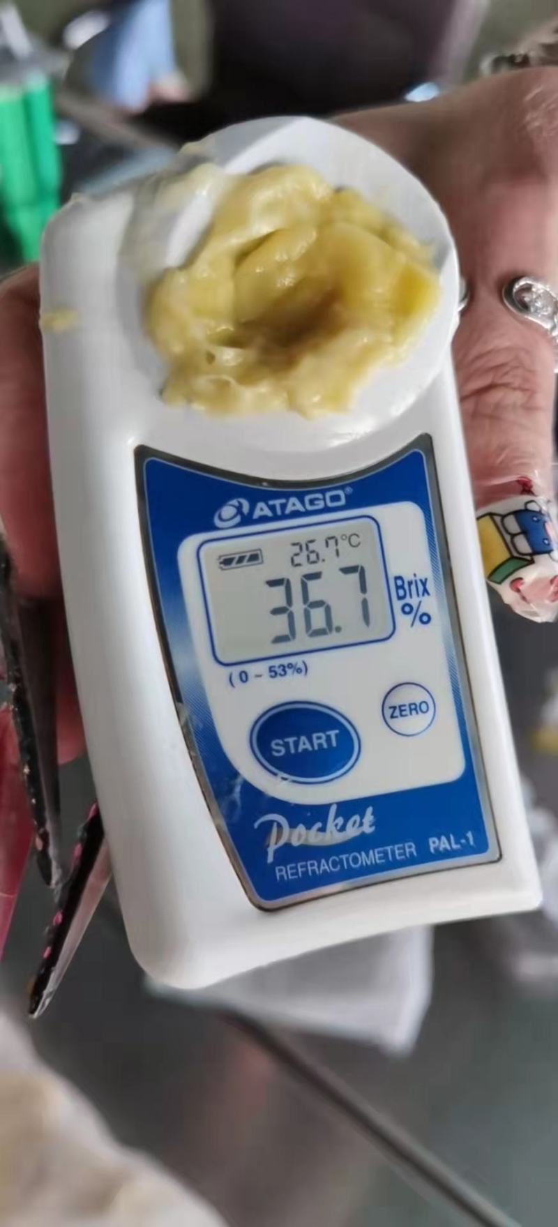 A级原料金枕榴莲肉【泰国直发，接受拼柜】