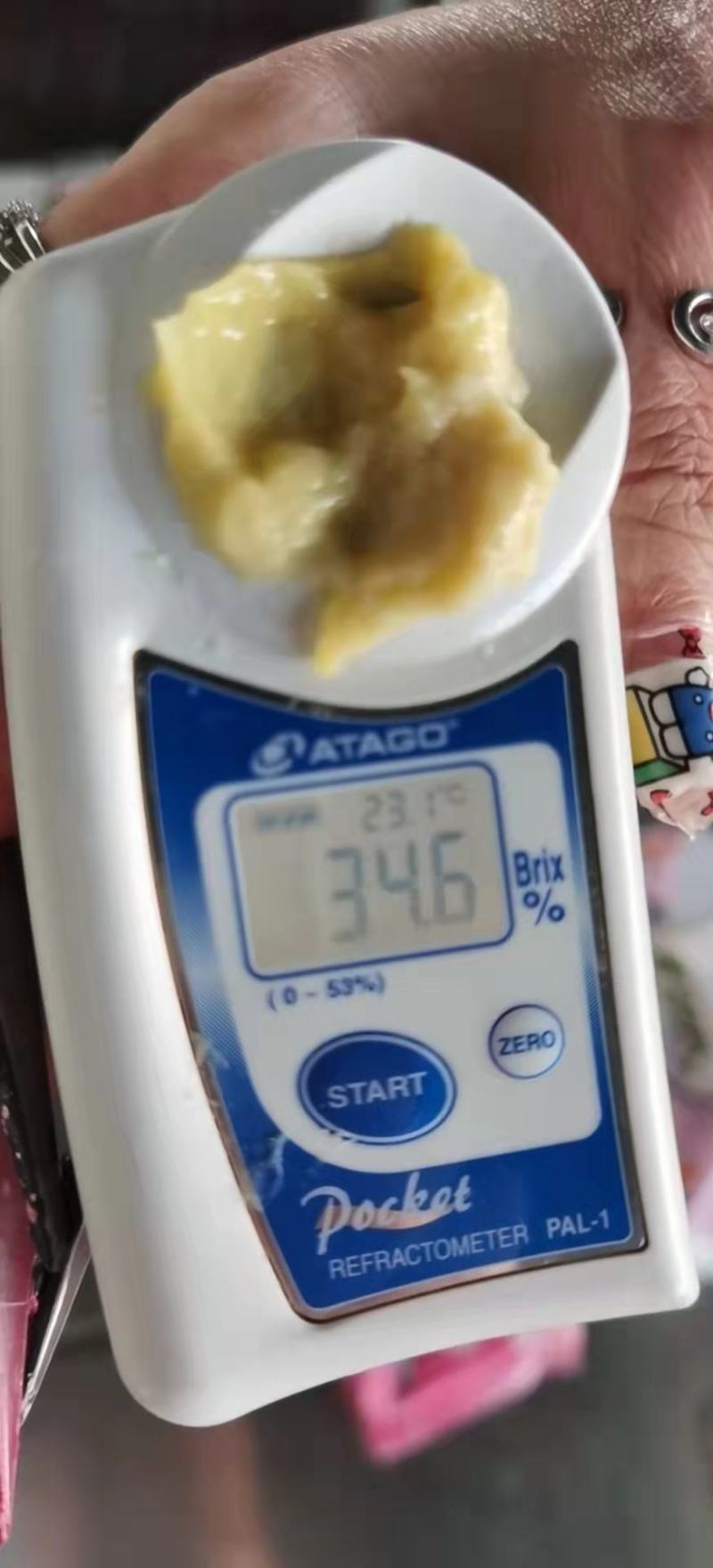 A级原料金枕榴莲肉【泰国直发，接受拼柜】