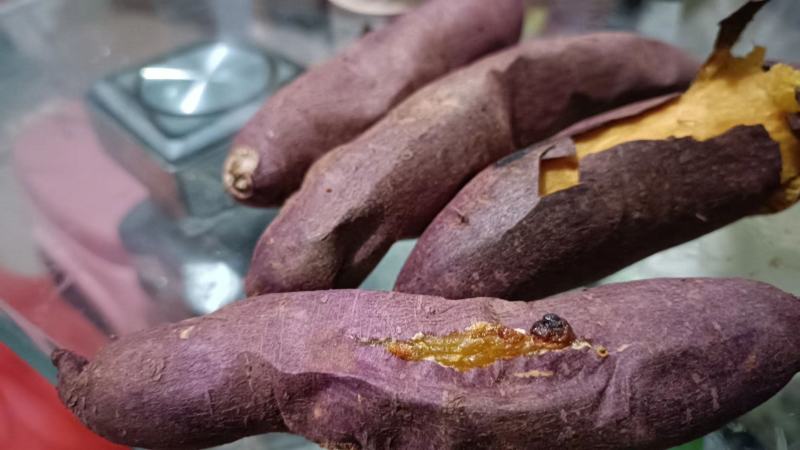 高系14红薯，桥头地瓜，日系红薯，高端蜜薯