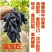 甜蜜蓝宝石葡萄树苗南方北方种植盆栽爬藤特大当年结果