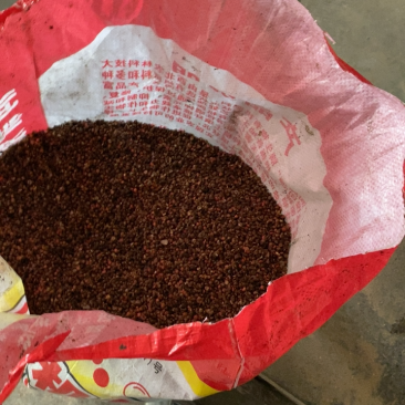 拐枣种子或者做药材用保证出芽率