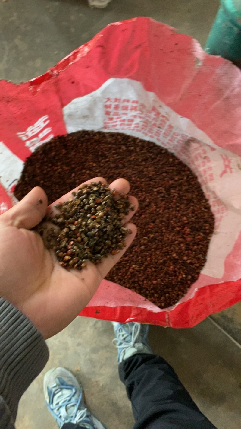 拐枣种子或者做药材用保证出芽率