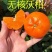 【新品种】无核沃柑苗无籽砂糖桔苗柑橘苗南方种植当年结果