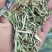 花生秧小草