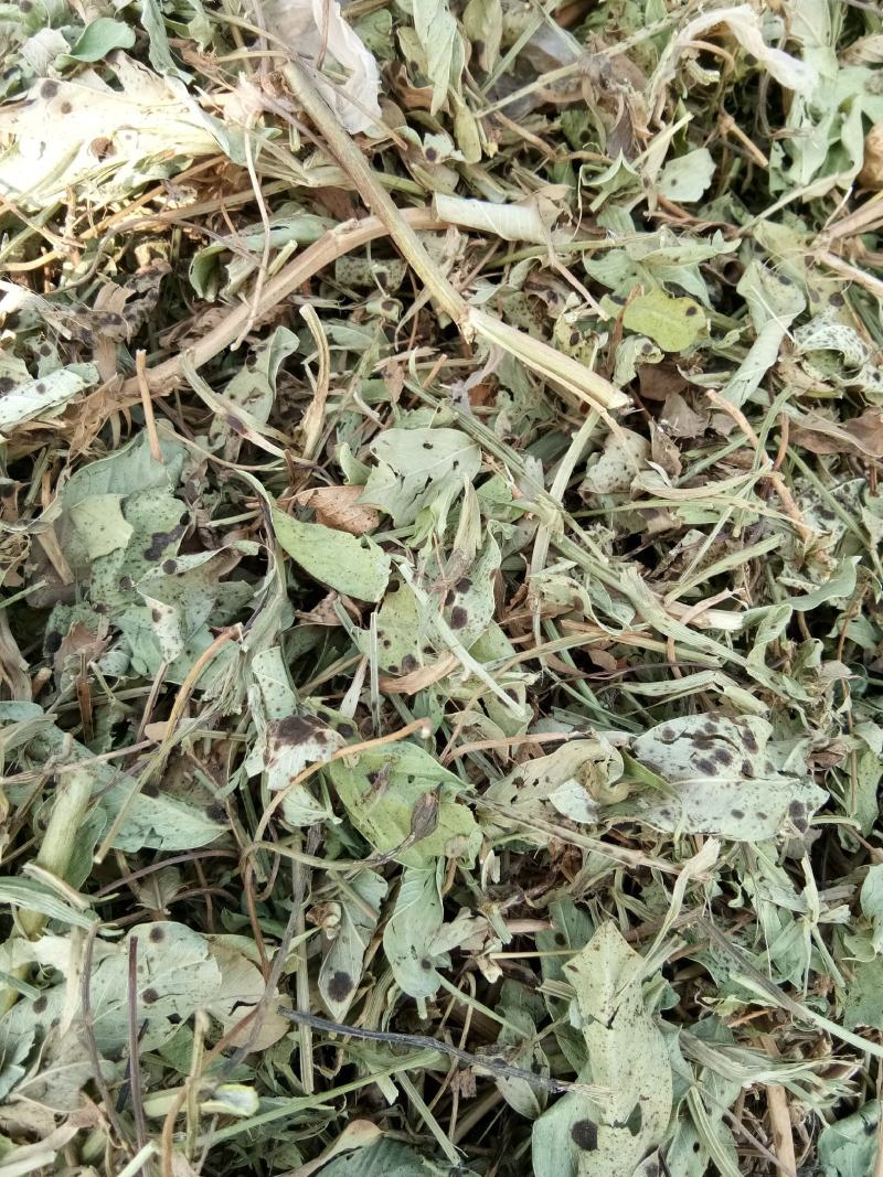 花生秧小草