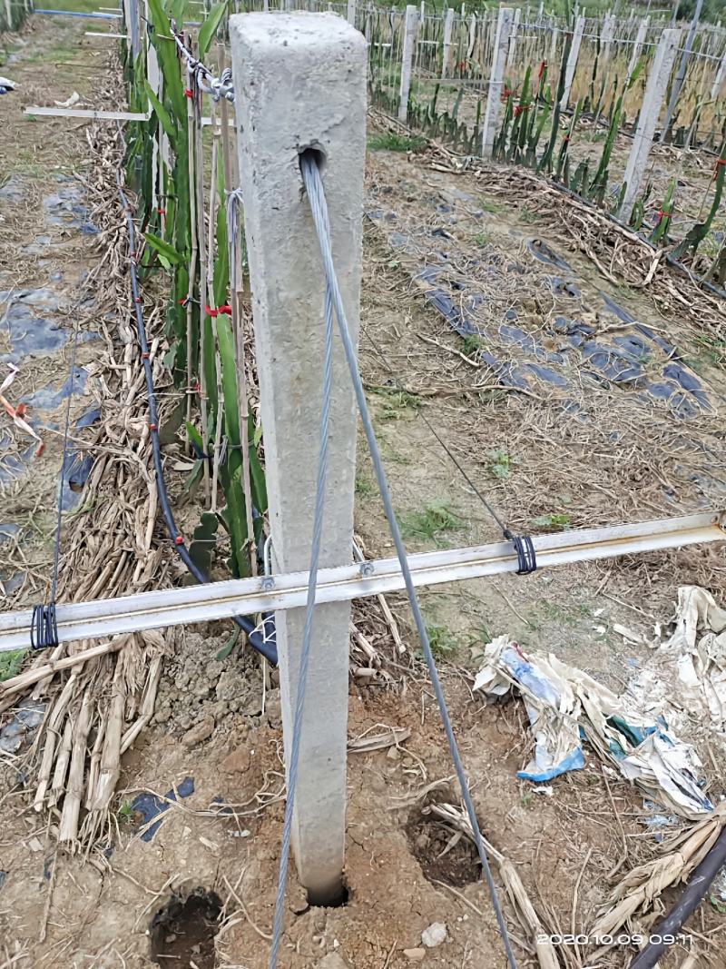 【钢丝绳】1*7多股钢绞线大棚架线鱼塘虾塘冬棚养殖拉线
