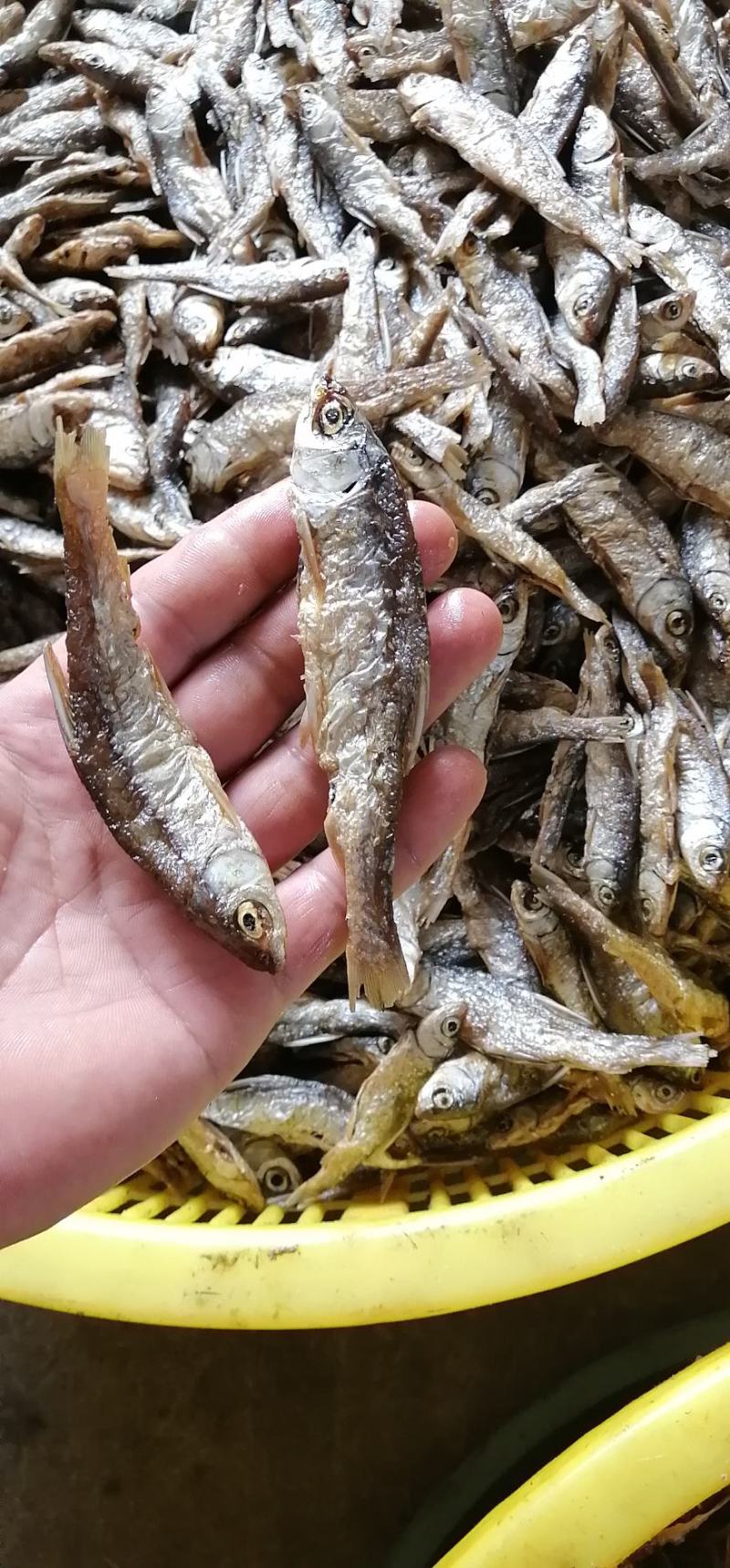 油炸黄尾鱼
