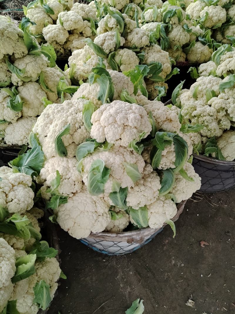 菜花
