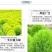 红地肤草种子扫帚菜种子四季花海花坛庭院盆栽草坪花草籽