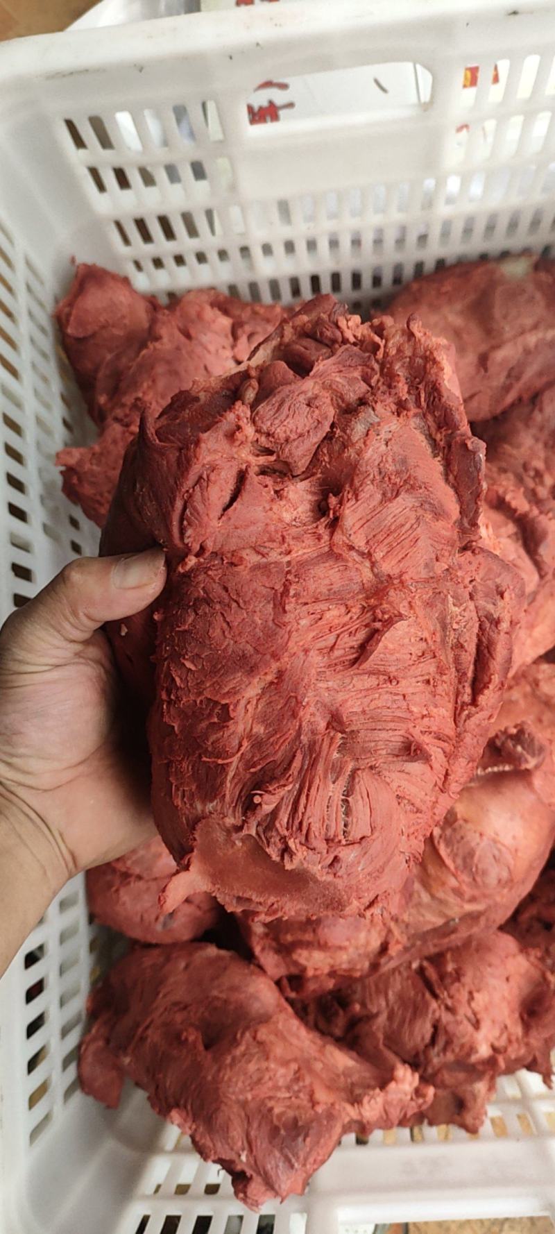 五香长腱，猪龟肉，五香块肉，前腱，一级块，全熟都有货。。