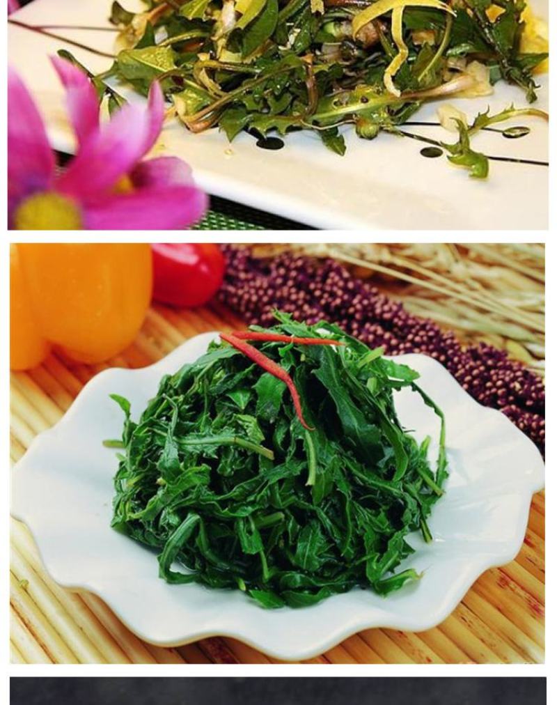 蒲公英种子野生食用药材纯新籽孑婆婆丁根茶四季易播盆栽野菜