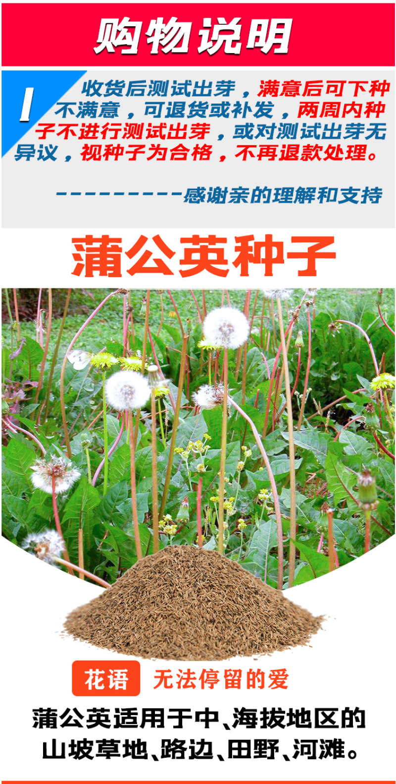 蒲公英种子野生食用药材纯新籽孑婆婆丁根茶四季易播盆栽野菜