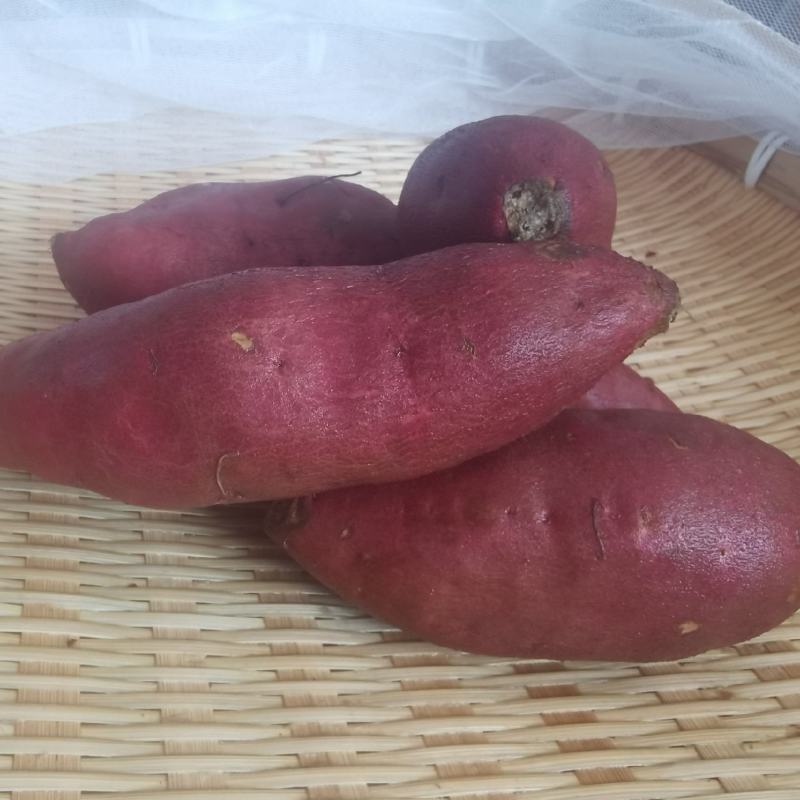 红薯，山芋，地瓜，正宗鸣门金时