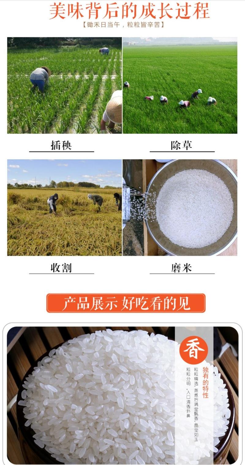 新米安徽大米10斤乡润丝苗米5kg长粒米非真空炒饭煲仔饭