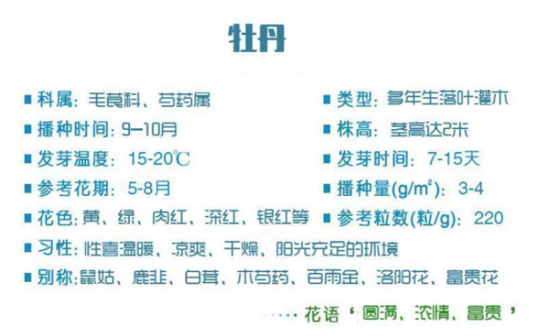洛阳牡丹种籽牡丹花种子混色春播四季盆栽阳台药用观赏牡牡丹