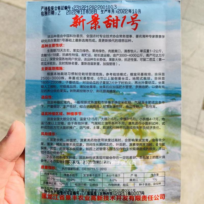 盛开花经典甜瓜种子新景甜1号白绿皮肉绿甜瓜种子专利品种