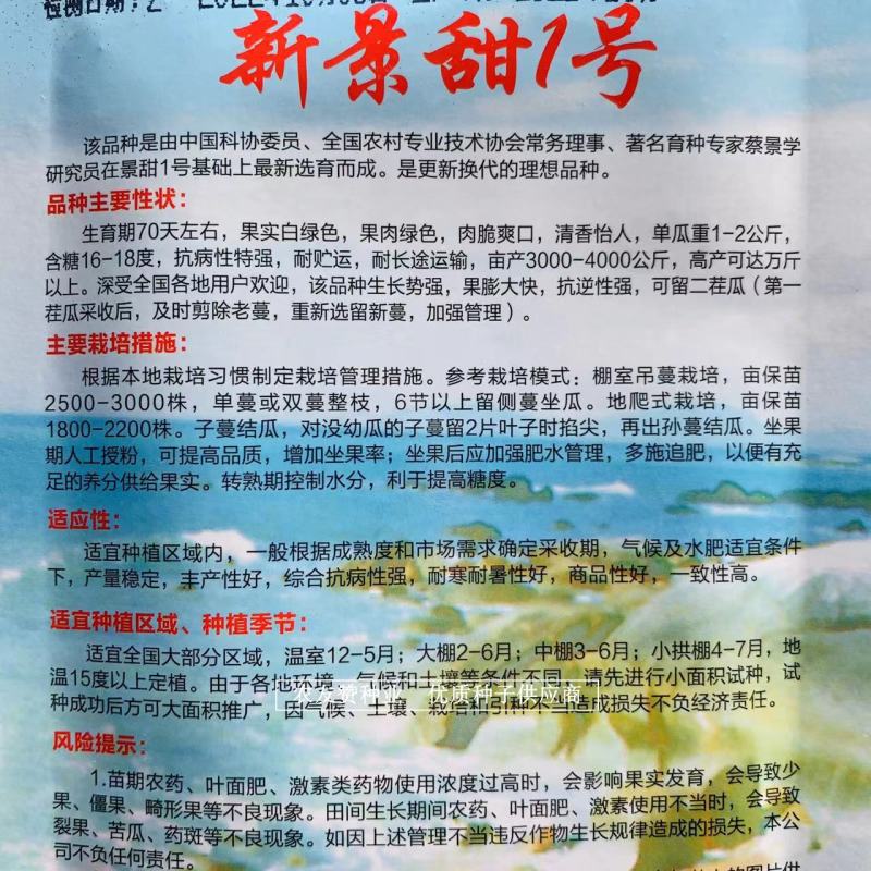 盛开花经典甜瓜种子新景甜1号白绿皮肉绿甜瓜种子专利品种
