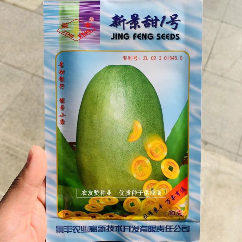 盛开花经典甜瓜种子新景甜1号白绿皮肉绿甜瓜种子专利品种
