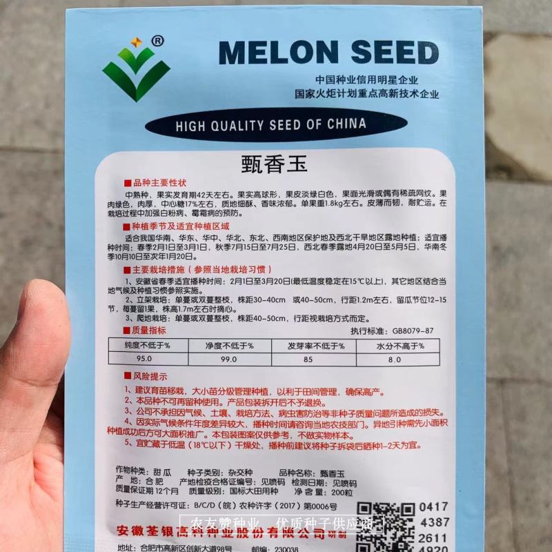 高球形玉姑甜瓜种子中晚熟甄香玉甜瓜种子特甜香味浓郁细酥