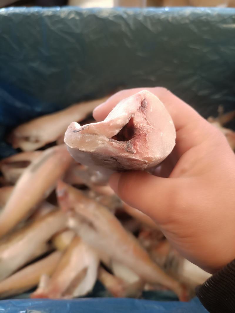 单冻去头鳕鱼