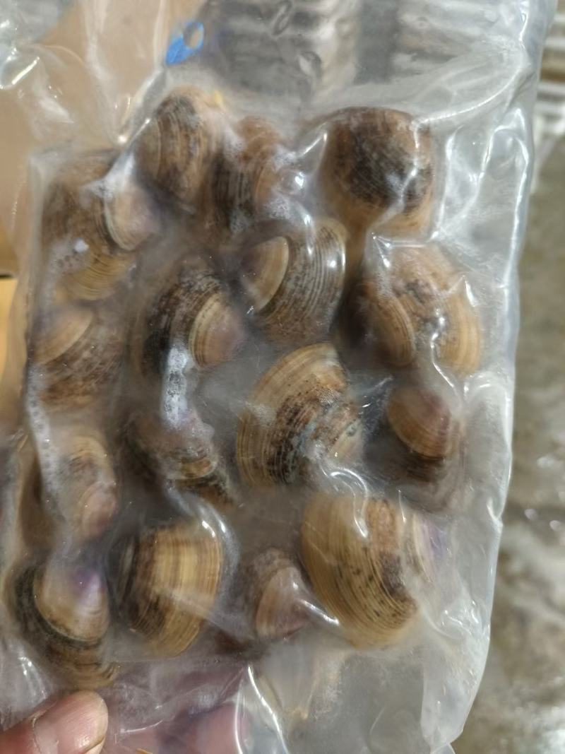 原浆扇贝柱扇贝丁鲜活贝加工300克产地发货