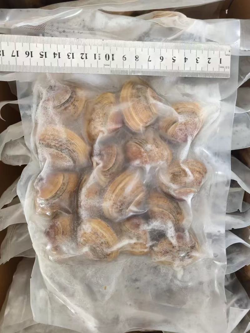 原浆扇贝柱扇贝丁鲜活贝加工300克产地发货