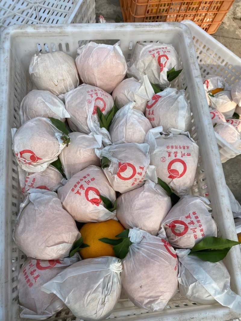 大量有货高次大量批发一手货源