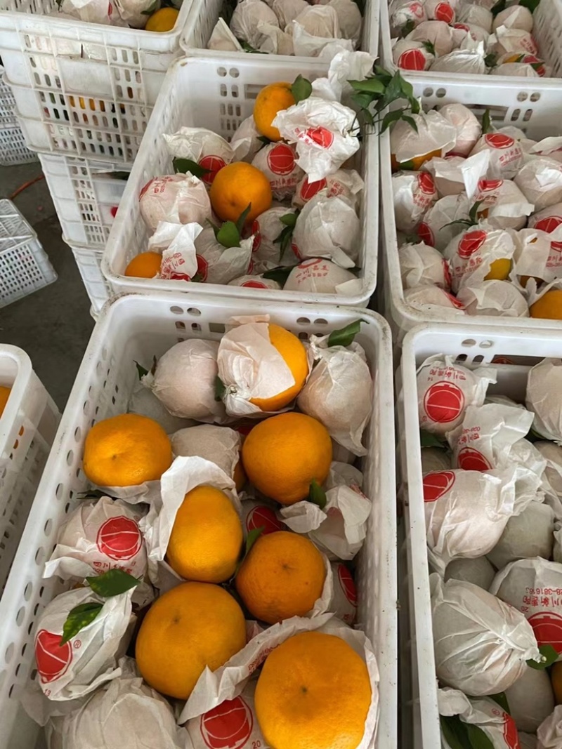 大量有货高次大量批发一手货源