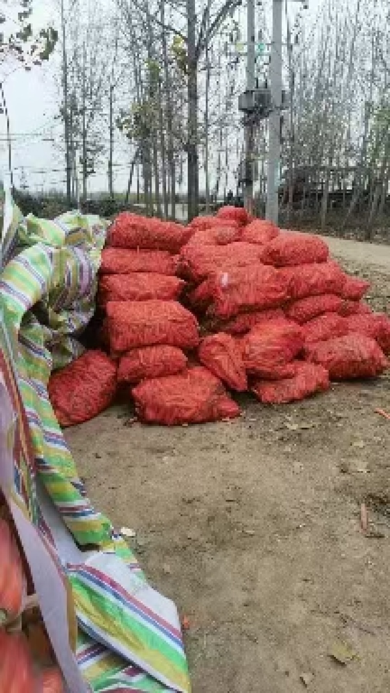 红萝卜渣大量有货，削头，水洗胡萝卜养殖厂加工厂大量供应