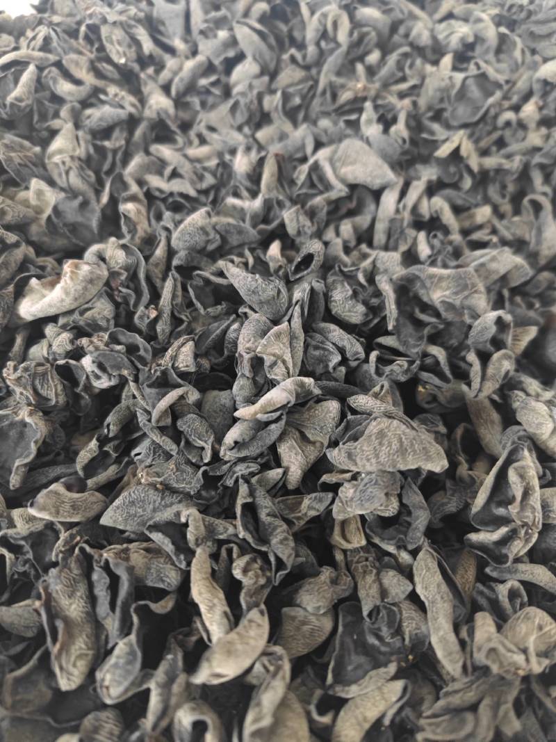 推荐东北黑木耳干货批发小碗耳秋木耳批发电商餐饮跑江湖地摊