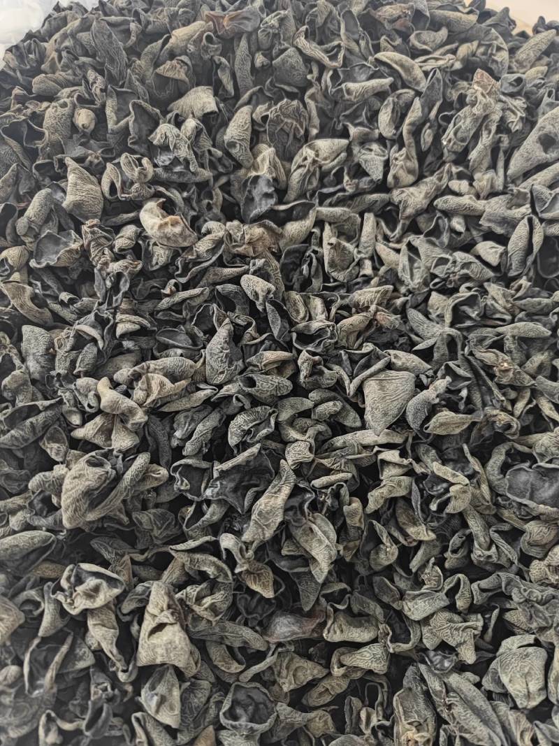 推荐东北黑木耳干货批发小碗耳秋木耳批发电商餐饮跑江湖地摊