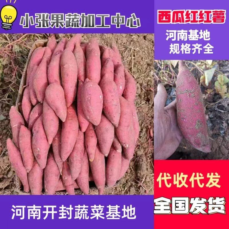 西瓜红红薯龙九红薯红皮黄心六鳌蜜薯产地代发