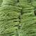 庐山云海豇豆种子，丰产品质好，颜色翠绿卖相好，购买请联系