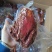 真空大块肉酱牛肉味牦牛肉味全熟酱香猪肉麻辣五香厂家