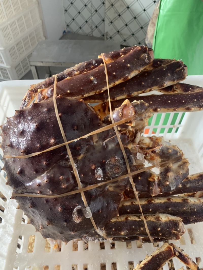 生冻帝王蟹，石蟹，岩蟹整只批发