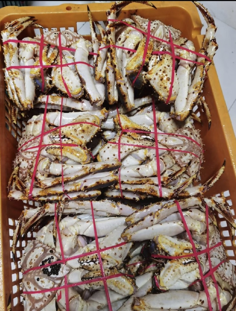 生冻帝王蟹，石蟹，岩蟹整只批发
