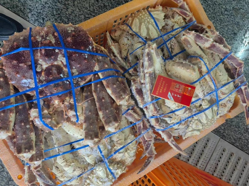 生冻帝王蟹，石蟹，岩蟹整只批发