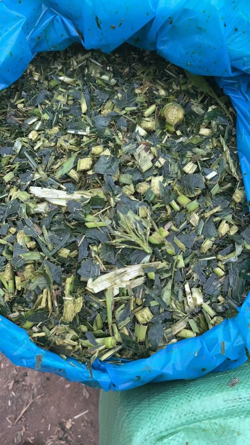 广东推选，广东玉米杆，饲料原料，支持全国发货，欢迎大家，