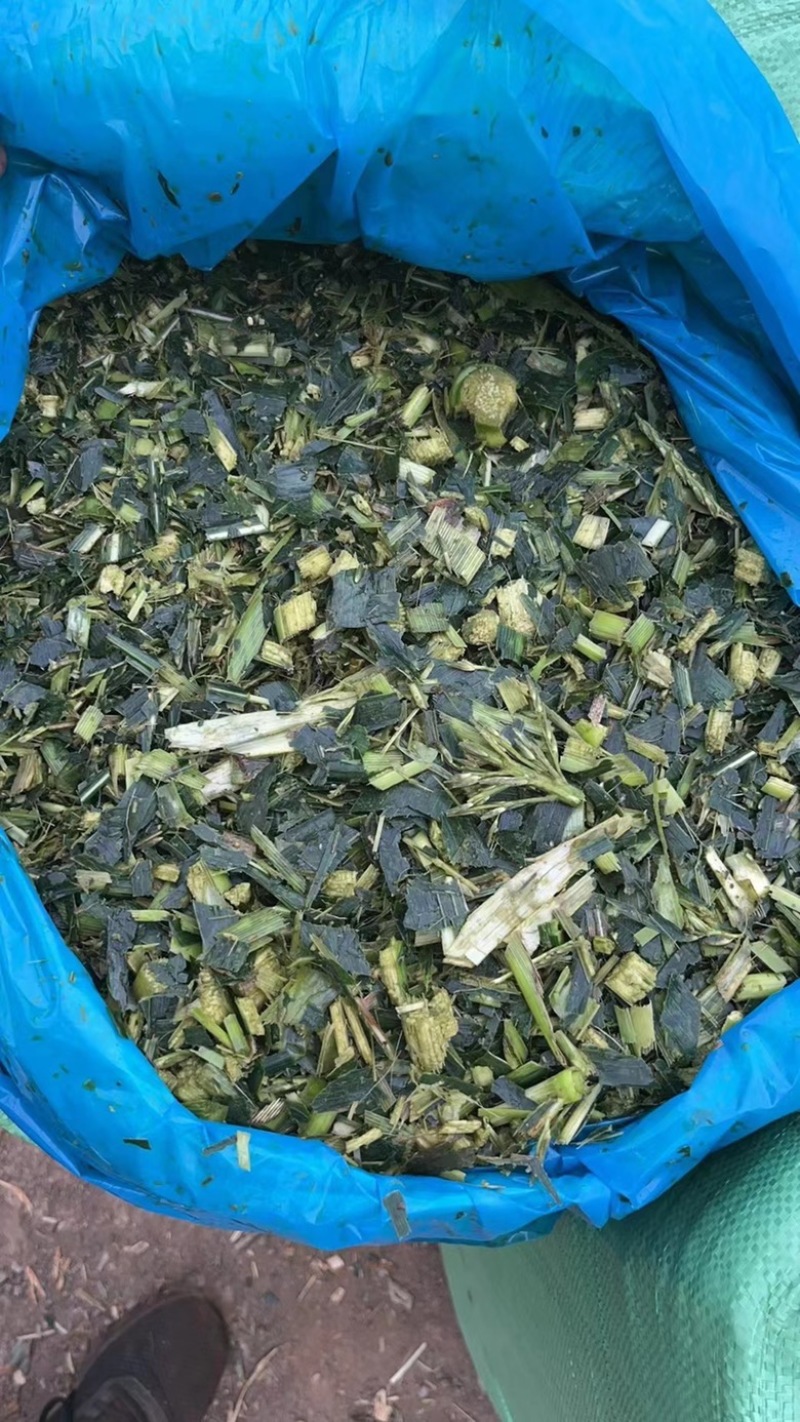 广东推选，广东玉米杆，饲料原料，支持全国发货，欢迎大家，