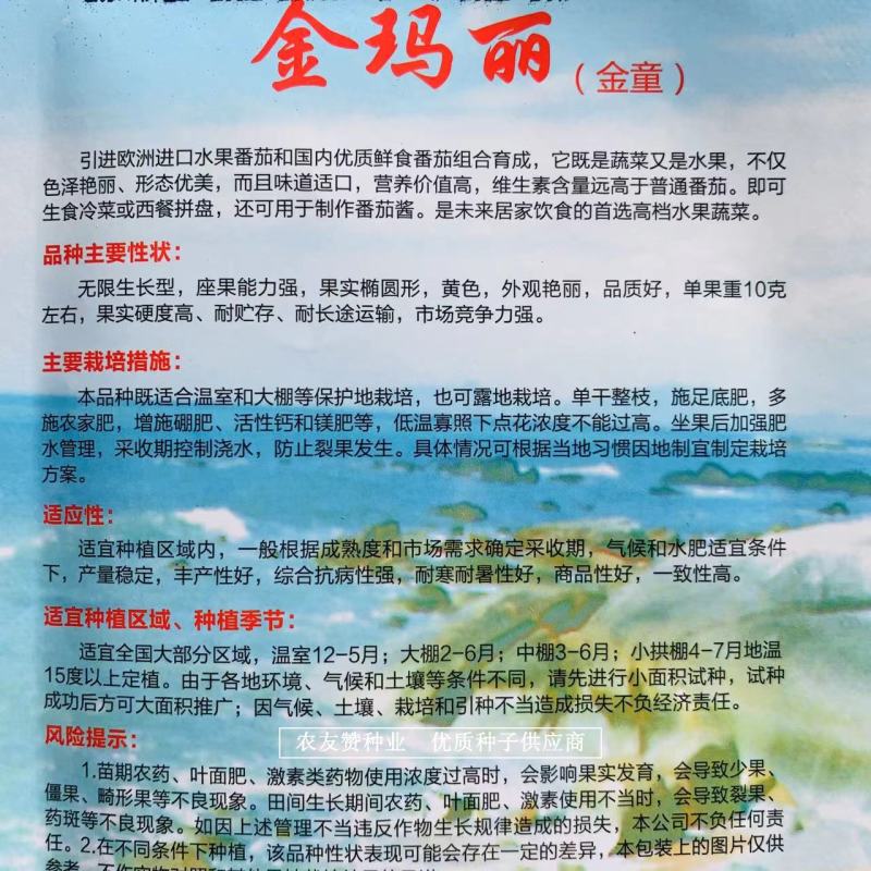 金玛丽小番茄种子无限生长型樱桃番茄种子外观艳丽，硬度高