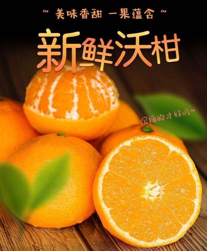 湖南沃柑沃柑定货采果入口化渣水分足口感甘甜