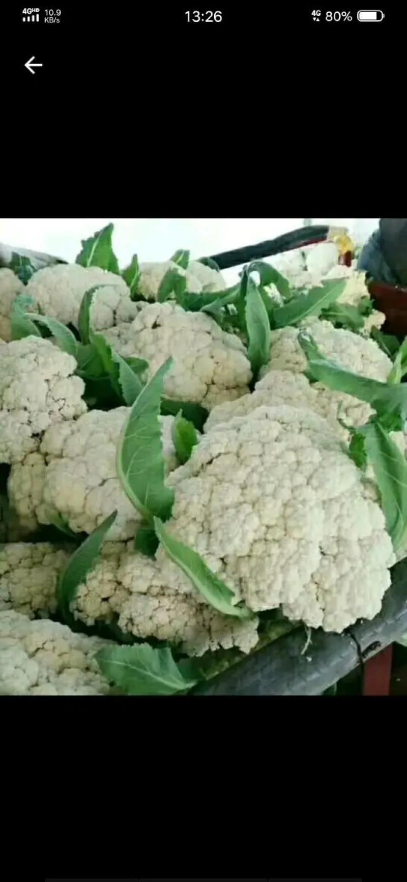 [菜花]白面青梗松花菜有机花菜花菜松花菜商超市场