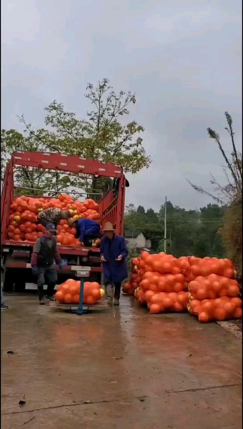 重庆万州特产水果柚子红柚三红柚产地现采现卖